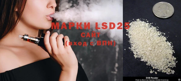 ГАЛЛЮЦИНОГЕННЫЕ ГРИБЫ Алзамай