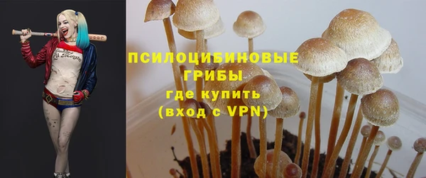 apvp Алексин