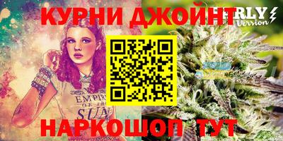 сатива Коммунар