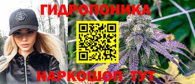 сатива Коммунар