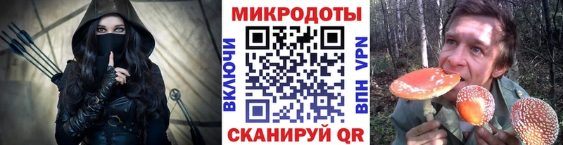 Псилоцибиновые грибы Psilocybe Ковров